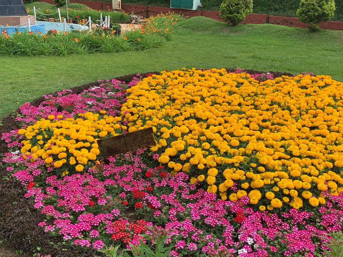 Kodai Pinetree Residency Kodaikanal Dış mekan fotoğraf