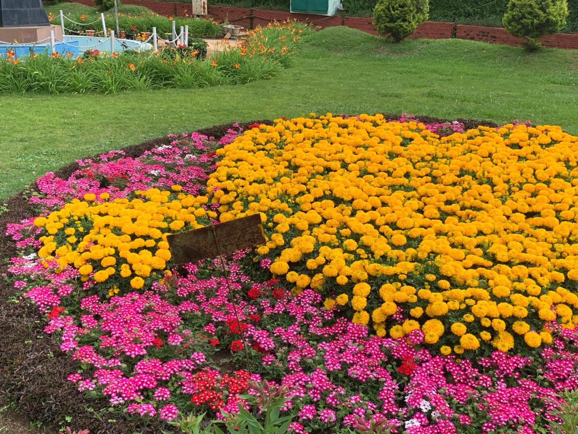 Kodai Pinetree Residency Kodaikanal Oda fotoğraf